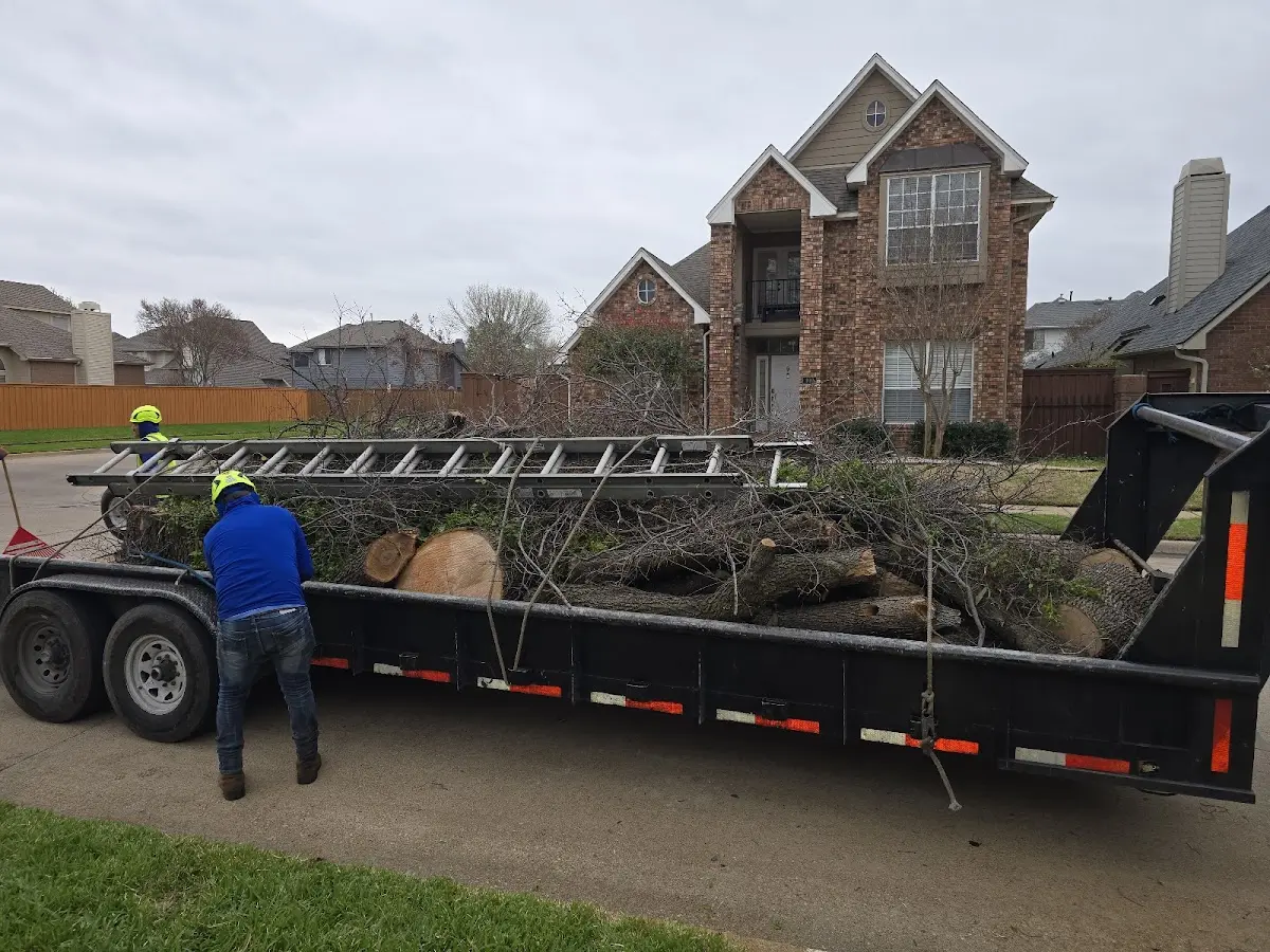Expert Tree Removal with proper safety equipment in East Brady